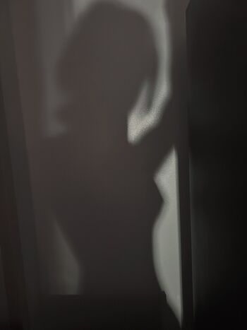 Chippu