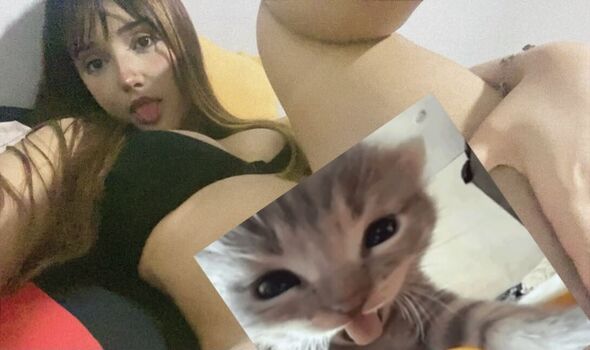 lzddca
