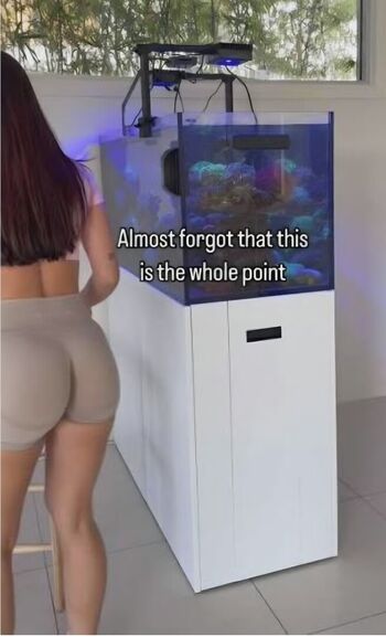 Full leaked Only fish private onlyfans photo