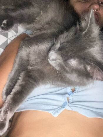 Full leaked Sarah kate private onlyfans photo