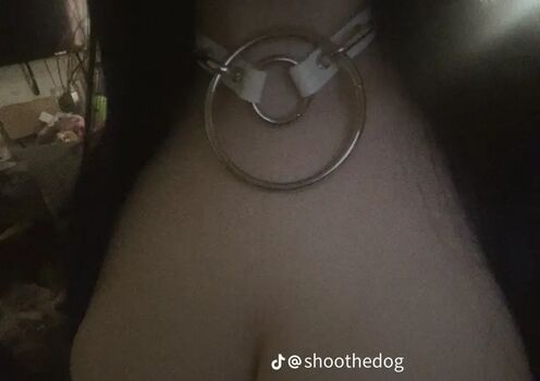 Full leaked Shoothedogs private onlyfans photo