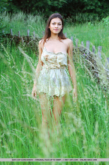 Sofi A