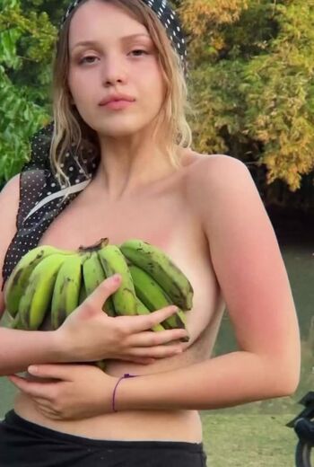vassaussa